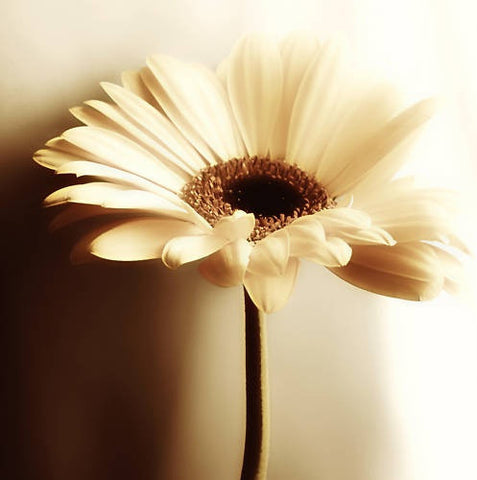 test lots of variants